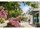 Charming street view featuring shops, sidewalks, and beautiful flowering trees at 607 S Albany Ave # 1, Tampa, FL 33606