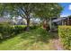 Well-maintained backyard featuring lush lawn, mature trees, and view of neighboring homes at 6303 Gentle Ben Cir, Wesley Chapel, FL 33544