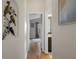 Hallway featuring wood floors and neutral decor, leading to the home's serene spaces at 6303 Gentle Ben Cir, Wesley Chapel, FL 33544