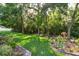 Scenic backyard landscaping features mature trees and lush green grass at 6555 Sparkling Way, Wesley Chapel, FL 33545