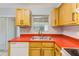 Bright kitchen with stainless steel sink, a window, and plenty of cabinet storage space at 727 Kensington Lake Cir, Brandon, FL 33511