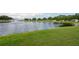 Scenic view of pond with a fountain, surrounded by green grass and trees at 10811 Lakeside Vista Dr, Riverview, FL 33569