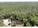 Aerial view of property surrounded by mature trees and a waterway at 1141 Myrtle Rd, Valrico, FL 33596