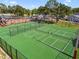 Aerial view of a multi-sport park area with pickleball and basketball courts at 13028 Prestwick Dr, Riverview, FL 33579