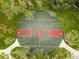 Aerial view of basketball court surrounded by lush trees and greenery at 14170 Fennsbury Dr, Tampa, FL 33624