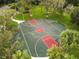 Aerial view of basketball court surrounded by lush trees and greenery at 14170 Fennsbury Dr, Tampa, FL 33624