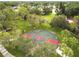 Aerial view of basketball court surrounded by lush trees and greenery at 14170 Fennsbury Dr, Tampa, FL 33624