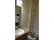 Bathroom with a single vanity, tiled shower-tub, and a large mirror for daily routines at 20420 Carolina Cherry Ct, Tampa, FL 33647