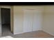 Spacious bedroom with large closet and neutral carpet at 20420 Carolina Cherry Ct, Tampa, FL 33647