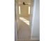 Hallway leading to a bedroom with a ceiling fan and natural light at 20420 Carolina Cherry Ct, Tampa, FL 33647