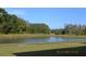 Scenic view of a serene pond surrounded by lush greenery, offering a tranquil escape at 20420 Carolina Cherry Ct, Tampa, FL 33647
