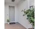 Front door entryway showcasing a welcoming doormat, sleek light fixture, and decorative potted plants at 215 S Westland Ave # 3, Tampa, FL 33606