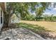 A spacious backyard featuring a concrete patio, mature trees, and ample green space at 2355 Bentley Dr, Palm Harbor, FL 34684