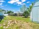 Backyard view featuring green grass, shade tree, storage shed, and partially fenced yard at 4005 W Coachman Ave, Tampa, FL 33611