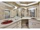 Unique bathroom with stone-like walls, double sinks, and ample counter space at 4388 Tiffin Ave, Spring Hill, FL 34609
