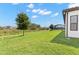 Large, well-maintained backyard with green grass and view of the screened in pool at 6154 Marsh Trail Dr, Odessa, FL 33556