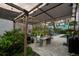 Relaxing backyard featuring a pergola with a dining area, an in-ground pool, and lush greenery at 6251 4Th S Ave, St Petersburg, FL 33707