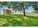Spacious backyard with well-maintained lawn, mature trees, and storage shed at 7013 Early Gold Ln, Riverview, FL 33578