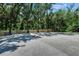 Community basketball court surrounded by trees, providing a recreational space at 7013 Early Gold Ln, Riverview, FL 33578