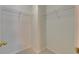 Walk-in closet with shelving and carpeted floors at 7013 Early Gold Ln, Riverview, FL 33578