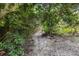 Secluded backyard trail surrounded by dense trees and lush foliage at 71 Flamingo Cir, Safety Harbor, FL 34695