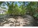 Tree-lined backyard leading towards house on a sunny day at 71 Flamingo Cir, Safety Harbor, FL 34695