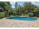 The stunning pool offers a relaxing outdoor space, complemented by lush greenery for added privacy at 71 Flamingo Cir, Safety Harbor, FL 34695