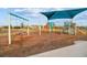 Playground featuring swings, slides and climbing structures, offering fun outdoor activities for children at 8192 Ivy Stark Blvd, Wesley Chapel, FL 33545