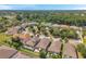 An aerial view captures a residential neighborhood surrounded by lush greenery and mature trees at 11314 American Holly Dr, Riverview, FL 33578