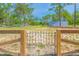 Large fenced yard with lush greenery, mature trees, and ample space for outdoor activities at 15207 Taralane Ave, Brooksville, FL 34604