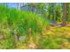Quaint outbuilding accessible by stairs, nestled amongst trees at 15207 Taralane Ave, Brooksville, FL 34604