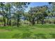 Manicured backyard and surrounding trees at 1670 Fox Rd, Clearwater, FL 33764