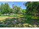 A serene backyard featuring mature trees offering shade and privacy at 17801 Simmons Rd, Lutz, FL 33548