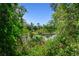 A serene pond is surrounded by lush greenery, creating a tranquil natural setting at 17801 Simmons Rd, Lutz, FL 33548