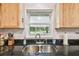 A stainless sink sits under a window offering a view of the green outdoor landscape at 17801 Simmons Rd, Lutz, FL 33548