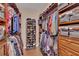 Spacious walk-in closet with custom shelving and drawers provides plenty of storage space at 19412 Heritage Harbor, Lutz, FL 33558