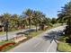 Community entrance showcasing lush landscaping, stately brickwork, and mature palm trees on a sunny day at 28512 Picana Ln, Wesley Chapel, FL 33543