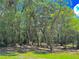 Beautiful homesite with mature trees provides plenty of privacy on this quiet property at 316 Jenkins Ave, Brooksville, FL 34604