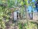 Old shed surrounded by overgrown vegetation and visible yard debris at 4709 Mineola St, Bradenton, FL 34207