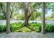 Spacious backyard featuring a well-manicured lawn, mature trees, and an inviting outdoor dining area at 4710 W Tambay Ave, Tampa, FL 33611