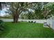 Spacious backyard with a lush lawn, mature trees, and outdoor seating, perfect for relaxation and entertaining at 4710 W Tambay Ave, Tampa, FL 33611