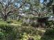 Overgrown backyard with outbuildings at 5279 Eureka Springs Rd, Tampa, FL 33610