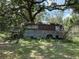 Overgrown, dilapidated old bus at 5279 Eureka Springs Rd, Tampa, FL 33610