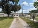 Gravel driveway view flanked by lush grass, trees, and a chain-link fence at 5279 Eureka Springs Rd, Tampa, FL 33610