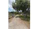 Gravel driveway leading to the property and the lush greenery surrounding it at 5279 Eureka Springs Rd, Tampa, FL 33610