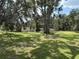 Large lot with home visible through trees and overgrown grass at 5279 Eureka Springs Rd, Tampa, FL 33610