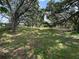 Large lot with overgrown grass and trees in need of clearing at 5279 Eureka Springs Rd, Tampa, FL 33610
