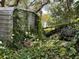 Exterior of overgrown storage shed at 5279 Eureka Springs Rd, Tampa, FL 33610