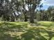 Expansive grass yard surrounding the property with beautiful, shady trees overhead at 5279 Eureka Springs Rd, Tampa, FL 33610