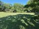 Expansive backyard featuring a serene pond surrounded by lush greenery and mature trees at 5804 Red Cedar Ln # 5804, Tampa, FL 33625
